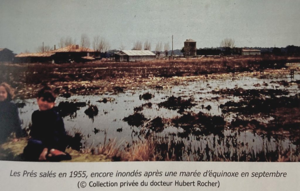 Le Domaine des Rocher, photographie extraite du livre de Roderic Martin, archives Municipales de La Teste.Cette photographie montre ce qu'était à l'origine le port de Rocher