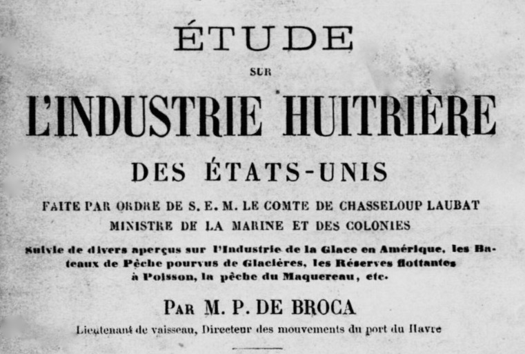 Etude de Monsieur De Broca, source Gallica