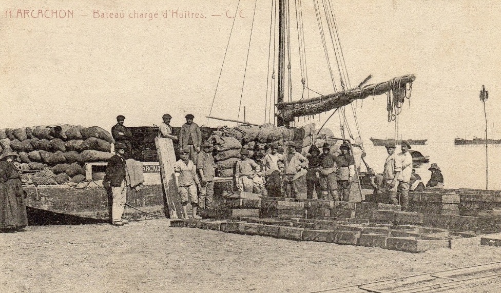 Bac à voiles chargé d'huitres.