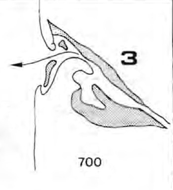 L'évolution morphologique récente du Bassin d'Arcachon. Thèse 3e cycle, Bordeaux. 1-102. François Manaud